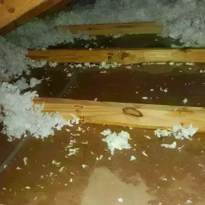 Attic Water Damage in Stillwater, NY